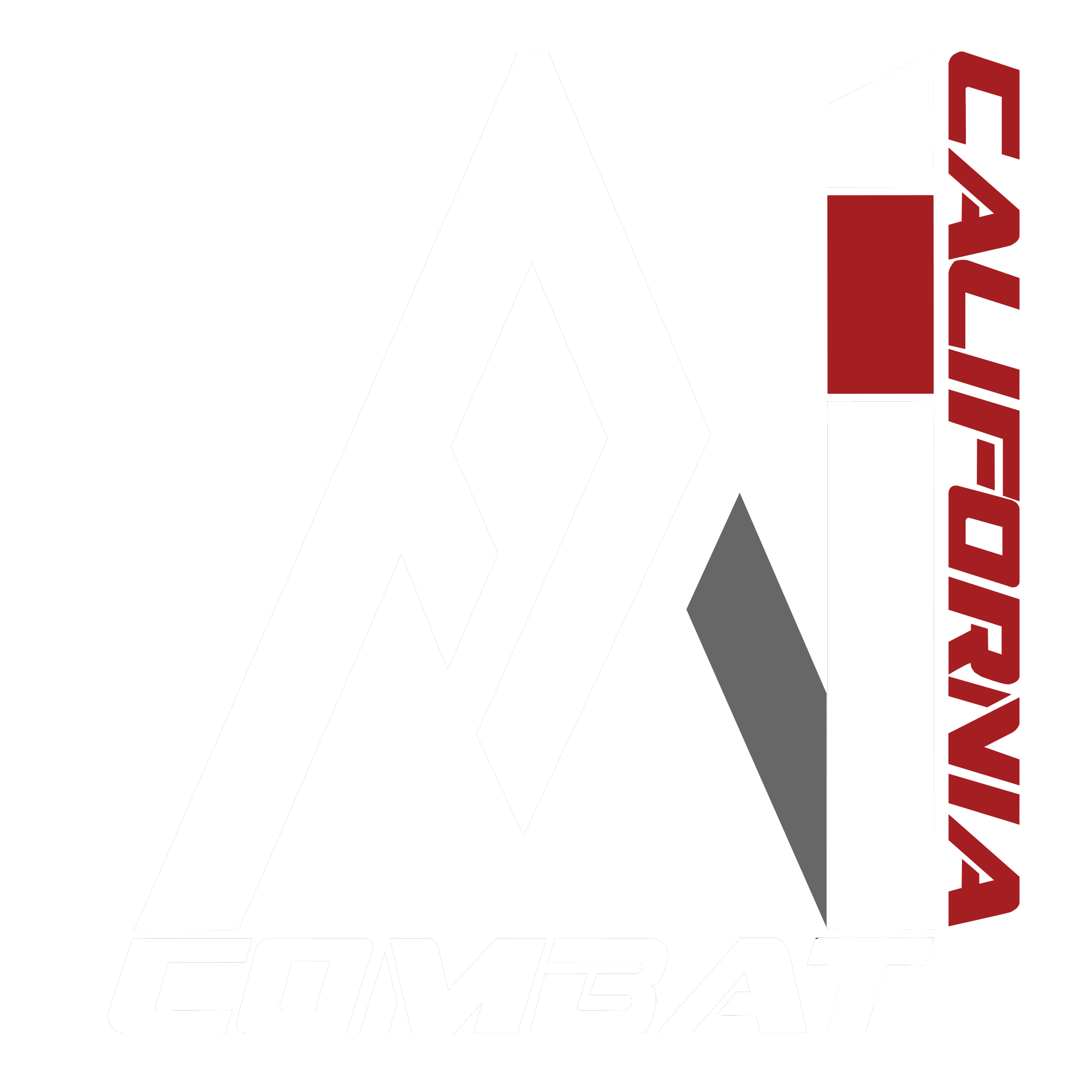 A1 Combat